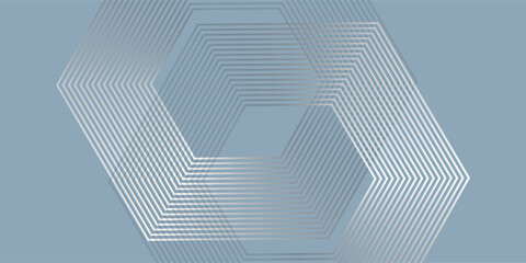 Poster - Abstract white and gray hexagon background. smooth abstract background, blurred pattern. Light pale vector background simple
