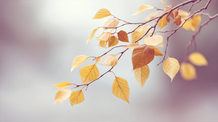 Wall Mural - yellow birch leaves swirling, dancing wildly against soft focused autumn landscape