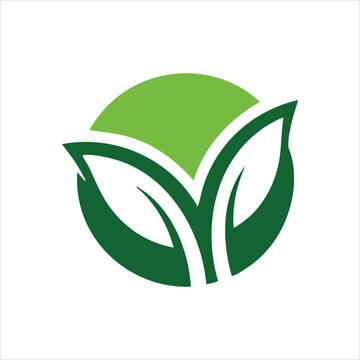 Letter O Leaf Logo vector. O Initial Icon Nature, eco friendly icon, Green logo design,
