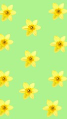 Poster - Animation of blue and yellow flowers on green background