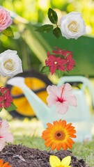 Poster - Animation of rows of matching flower heads moving in unison over wheelbarrow and garden background