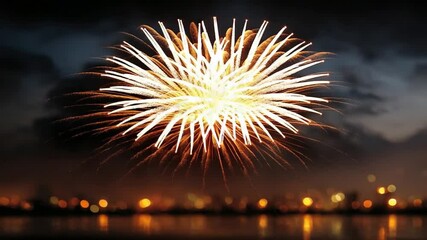 Poster - Radiant Burst over the Water: A dazzling firework explodes in the night sky, its vibrant trails illuminating the darkened waterfront, the celebration atmosphere and colorful streaks.