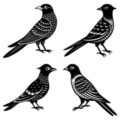 Poster - Four stylized black birds facing different directions with intricate feather details displayed in a grid
