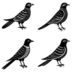 Poster - Four stylized black birds with unique feather patterns standing on their feet in monochrome art style
