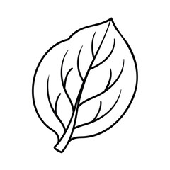 Poster - Outline a leaf with veins on a Handdrawn plant nature