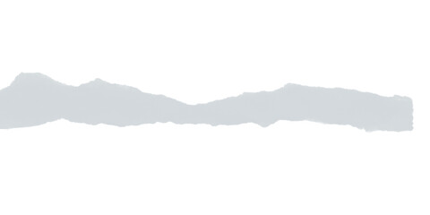 Poster - A pixelated gray shape with jagged edges against a solid black background in a simple illustration