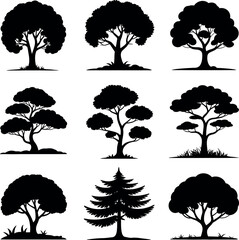 Poster - Collection of Nine Black Tree Silhouettes on a White Background Including Deciduous and Evergreen Varieties Perfect for Nature Illustrations and Design Elements