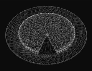 Poster - A black and white pie chart illustration features a central triangle surrounded by intricate geometric patterns within a bold circle. The detailed linework creates a mesmerizing abstract design.