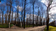 © Vlad Rakin - Sunlit alleys of Summer Garden: bare trees cast intricate shadows on gravel paths among historic statues. Backlight highlights silhouettes against blue sky. St. Petersburg, Russia.