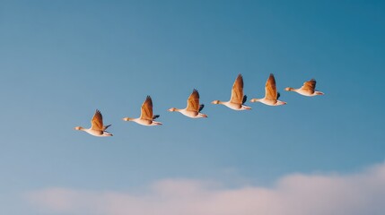 Poster - team of flyers captured mid-formation in wide sky panorama