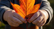 © Taniana Fomina - Child holding large orange autumn leaf with two hands outdoors
