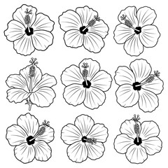 Naklejka na meble Hibiscus flowers pattern with outline style for decorative projects