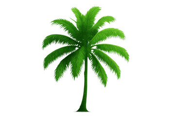 Poster - Realistic 3d rendering of a single green palm tree isolated on transparent background, perfect for travel or tropical-themed projects