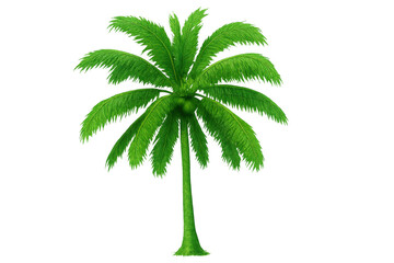 Poster - Realistic 3d rendering of a green coconut palm tree isolated on transparent background, perfect for summer and tropical projects
