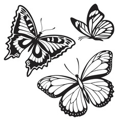 Fototapete - Collection of diverse butterfly silhouettes isolated on white background