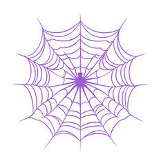 A purple spider sits on a spiderweb isolated on white isolated on transparent background