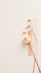 Poster - Elegant pastel flower composition with soft rose and buds on a neutral background offering space for text or design.