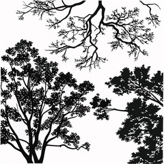  Black tree branches and foliage silhouettes on white vector