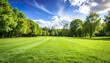 © Thanthara - Beautiful green lawn with neatly trimmed grass and trees under bright blue sky