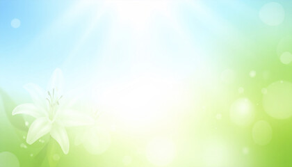 Poster - White lily flower with soft green blue background and bright sunlight glow