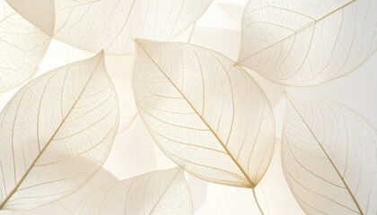 Poster - Transparent beige leaves with delicate veins create soft natural texture this abstract nature