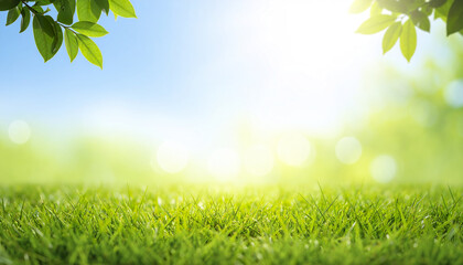 Wall Mural - green grass with fresh leaves and bright sunlight under blue sky in spring