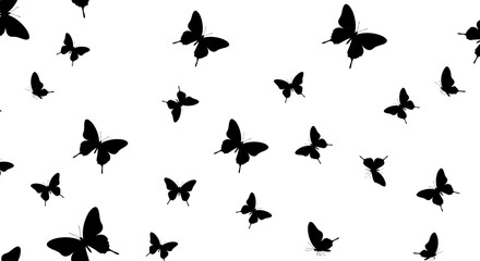 Poster - Seamless pattern with flying butterflies black silhouettes on a white background