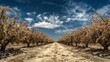 © Vadim - Drought and extreme heat lead to drying orchards, threatening fruit production and agriculture