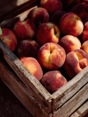 Poster - Fresh Peaches Arranged Neatly in a Rustic Wooden Crate Illuminated by Soft Natural Light