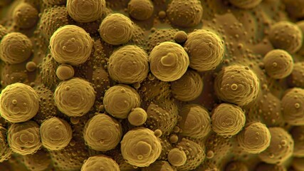 Poster - Dense Grouping of Golden Yellow Spheres on Textured Brown Substrate Creating Organic Pattern Macro Shot