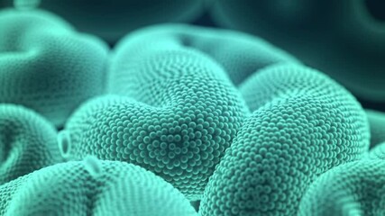 Poster - Detailed Turquoise Organic Shapes with Textured Surface in a Macro Shot Showing Cellular Structure and Design Elements