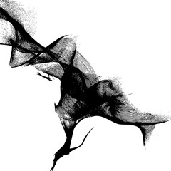 Poster - Abstract black and white flowing lines creating dynamic movement and textural contrast on a white backdrop