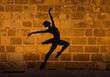 © Medo - Shadow of a ballerina reflected on a wall in a creative artistic scene