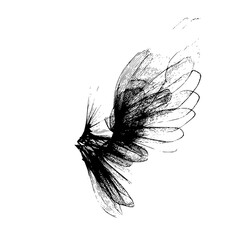 Fototapete - Abstract depiction of a bird's wing in flight rendered with fine lines and varying levels of transparency