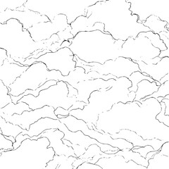 Poster - Abstract black lines forming cloud like shapes on a white background creating a chaotic pattern design