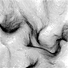 Poster - Abstract topographic map illustration featuring dense contour lines in black and white showing elevation changes