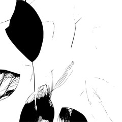 Poster - Abstract monochrome rendering of plant leaves with a stark contrast between black and white tones