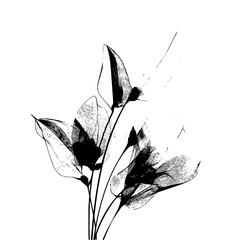 Poster - Elegant floral arrangement featuring delicate petals and stems in a monochrome artistic style design art