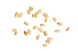 © shirophoto - The Top view photograph of peanuts scattered on white background.