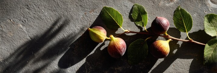 Poster - Fresh Figs Resting on a Stone Slab With Intricate Shadows Cast Above, Captured in Natural Light Creating a Serene Atmosphere