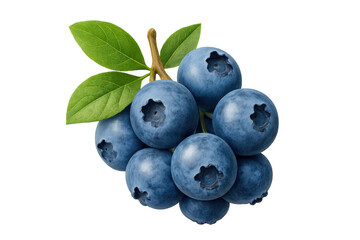 Fototapete - Fresh blueberries with green leaves hanging on a branch isolated on transparent background, perfect for healthy eating and food-related designs