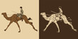 © Daru - Traditional Middle Eastern Camel Rider Vector Art