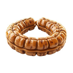 Poster - Glossy Brown Bangle Bracelet Jewelry Fashion Accessory Close Up Design on transparent background