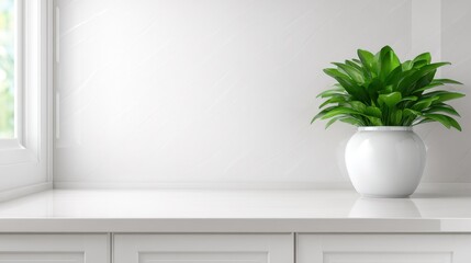 Poster - Bright and modern interior with a white vase and green plant on a clean countertop by a window