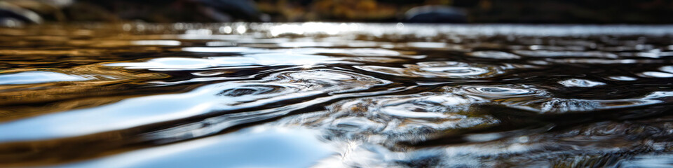 Poster - Close-up Photograph of Rippled Water Surface with Reflections