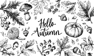Leinwandbilder - A collection of autumn-themed hand-drawn Autumn plants vector sketches. Hand-drawn set of harvest, modern vector illustrations, including plants, easily editable and scalable.