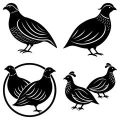 Poster - Four stylized black and white illustrations of quail birds in various poses and arrangements set
