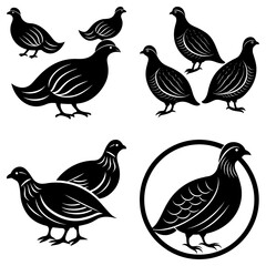 Leinwandbilder - Graphic representation of a group of partridges in various poses and compositions in black silhouette