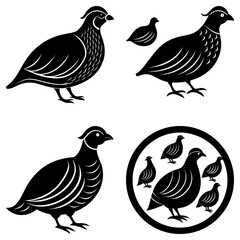 Poster - Illustration of several black partridges in different poses and a group inside a circle design