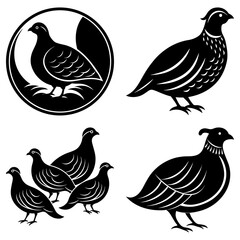 Poster - Illustration of a group of stylized partridges in various poses and arrangements in black and white